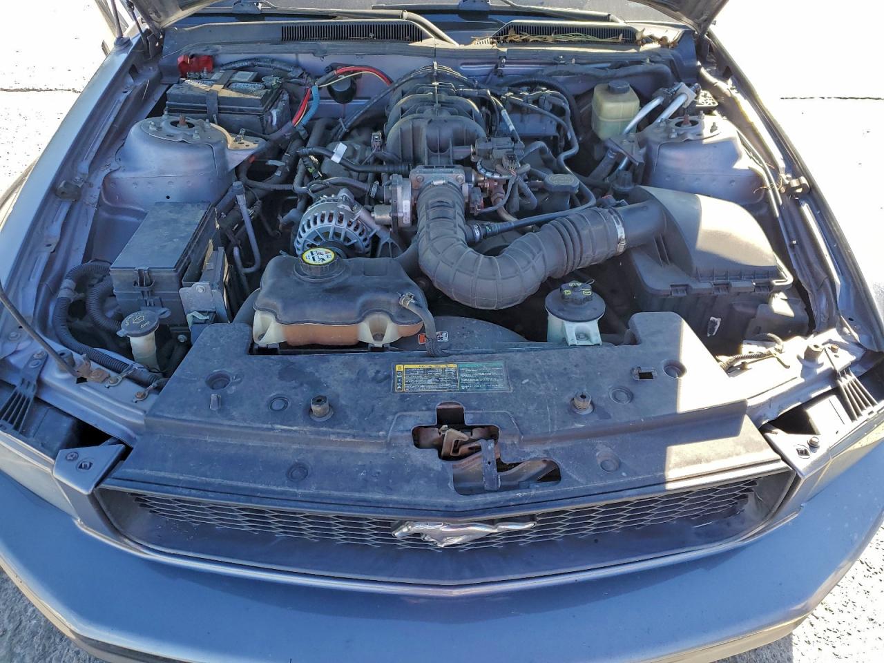 Ford Mustang Image 8