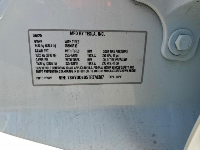 Tesla Model Y Image 4