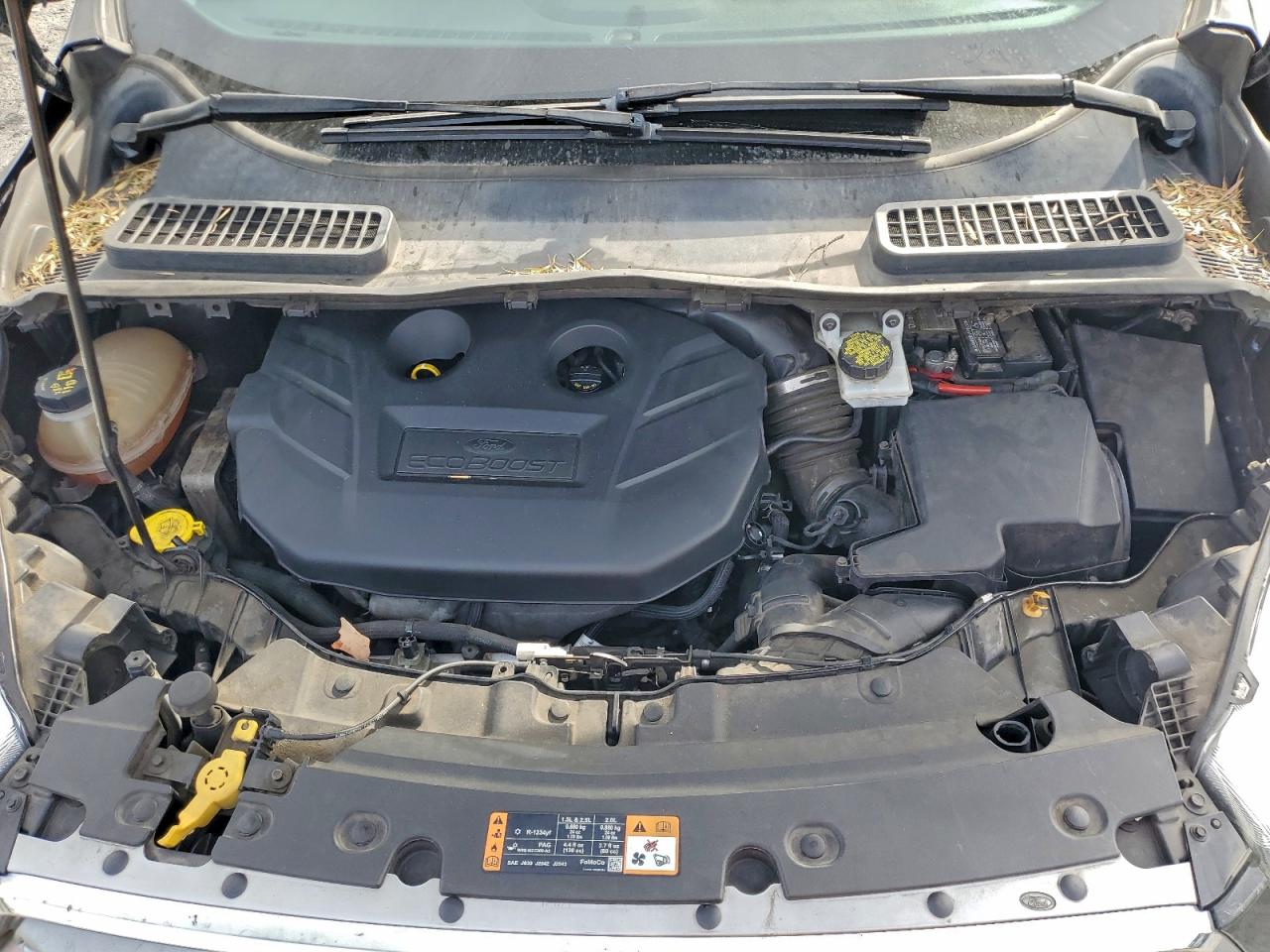 Ford Escape Se Image 10