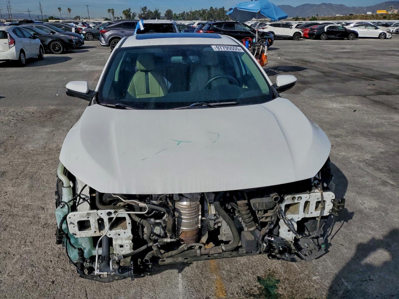 Honda Civic Exl Image 12