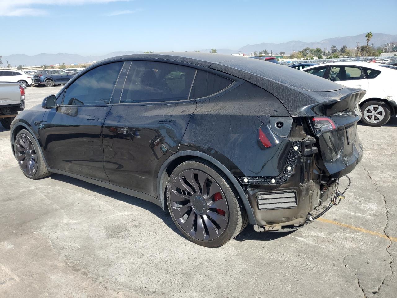 Tesla Model Y Image 3