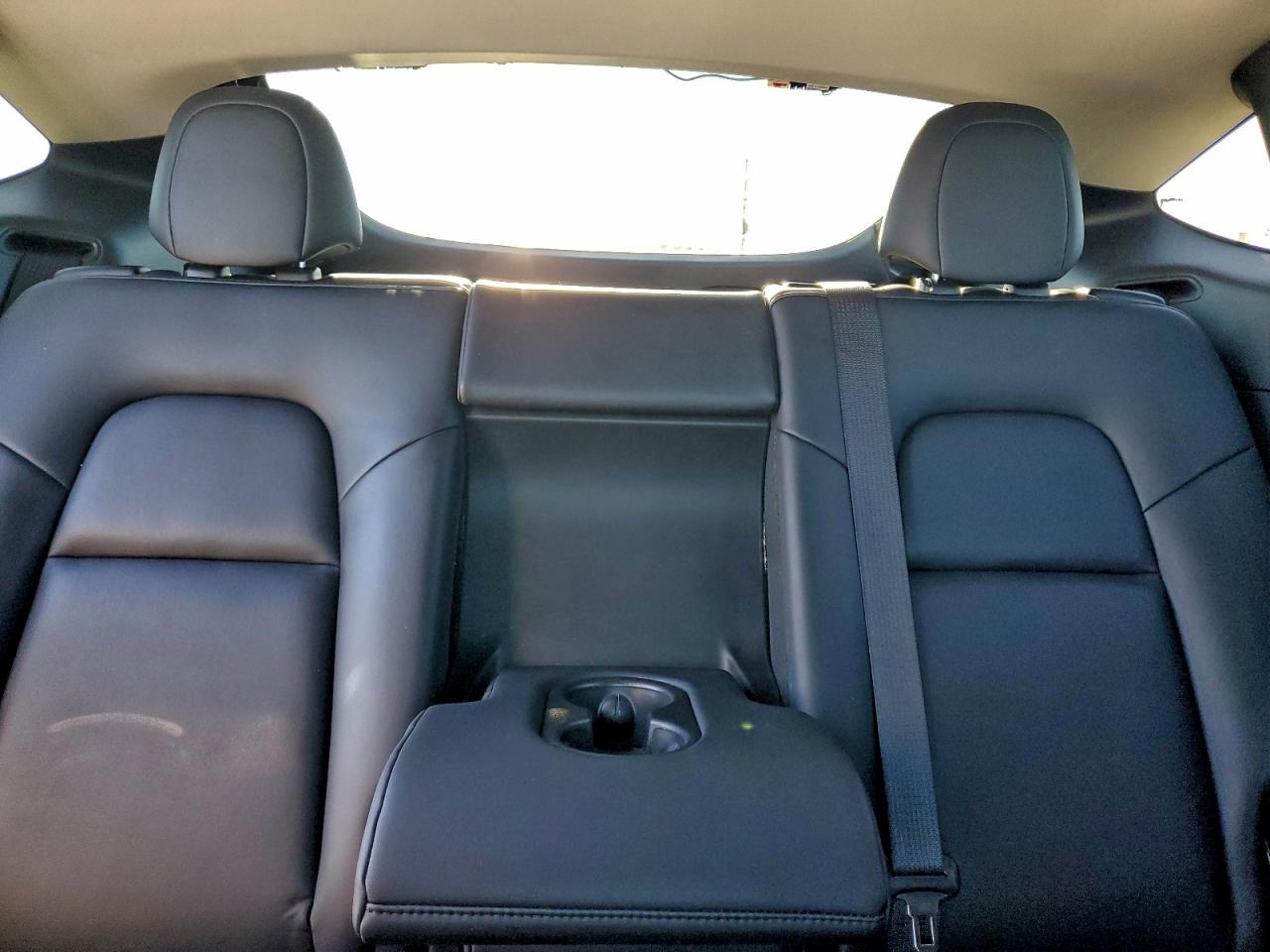 Tesla Model Y Image 12