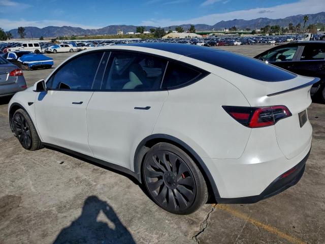 Tesla Model Y Image 6