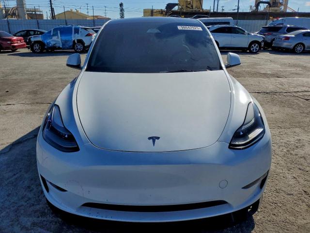 Tesla Model Y Image 2